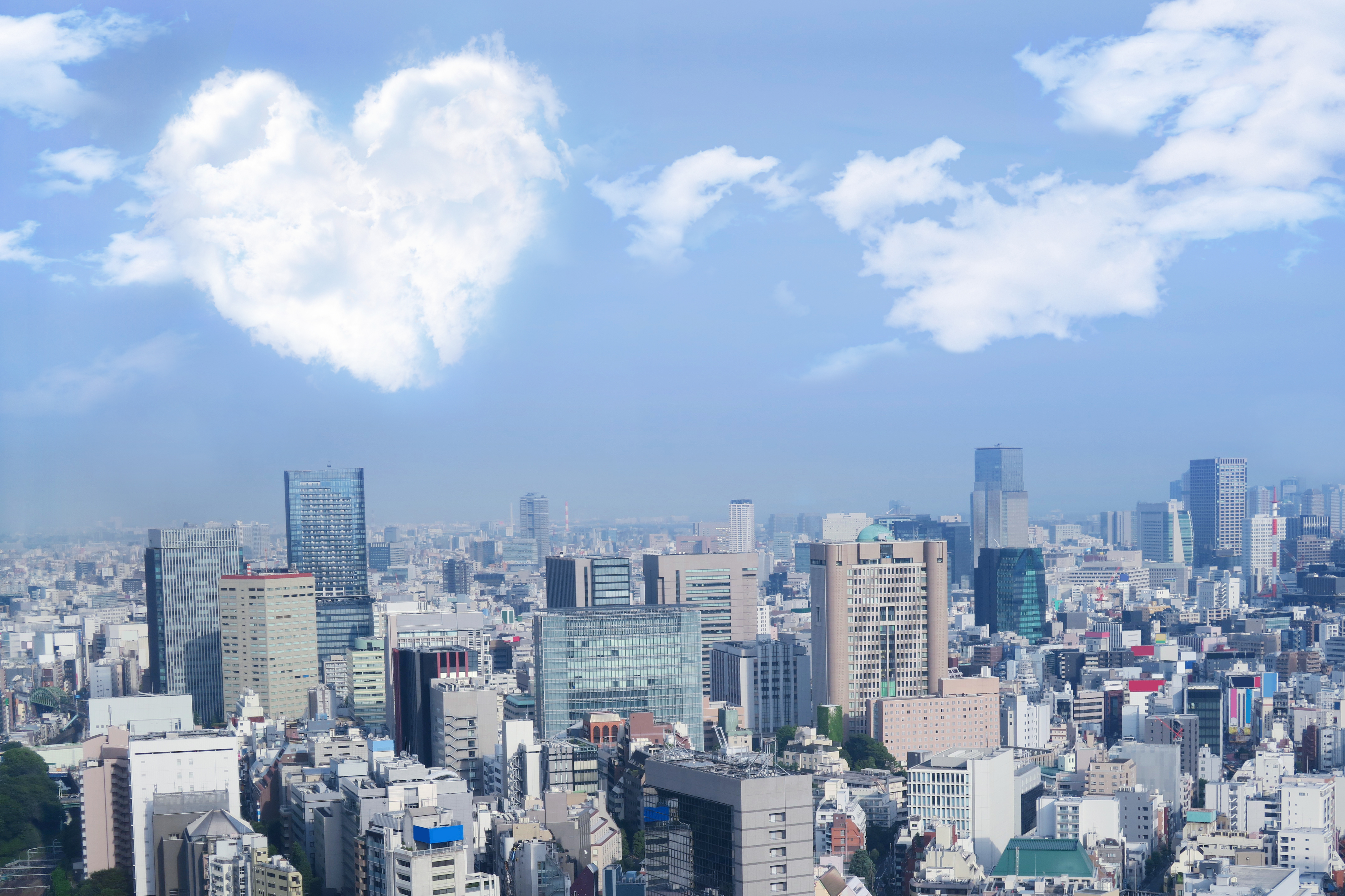 思いやり,優しさ,愛情